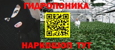 амф Жуковский